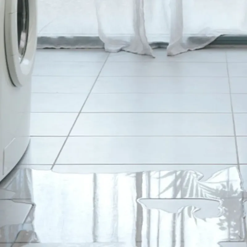 Appliance Leak Cleanup in Bellefonte, DE