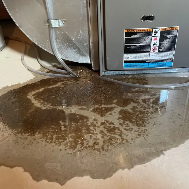 Pipe Burst and Leak Restoration in Bellefonte, DE