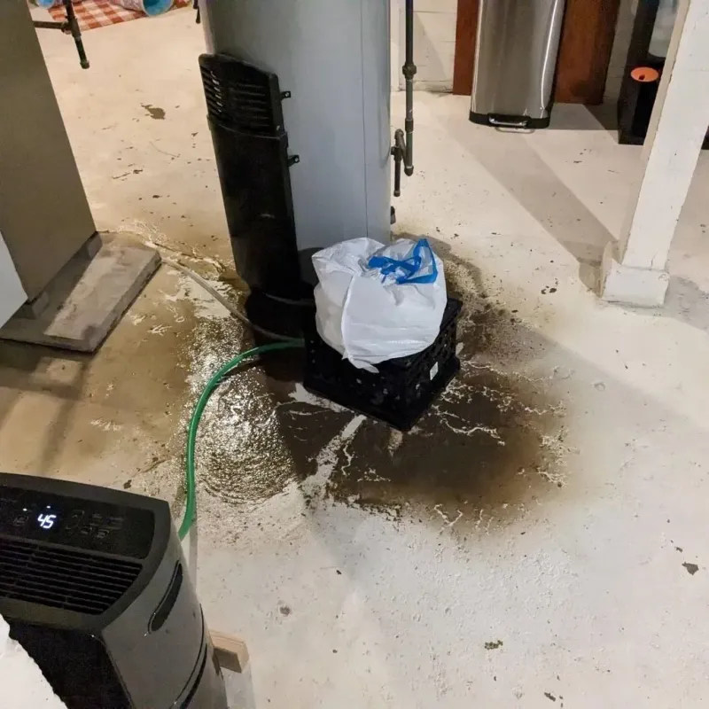 Sewage Backup Cleanup Service in Bellefonte, DE